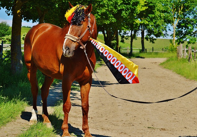 产品销售同 产品销售同