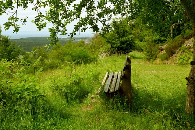 政府施压 政府施压