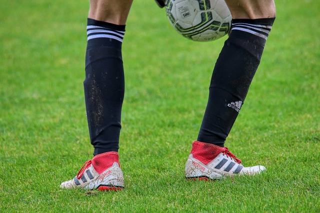 巴黎跟進更 巴黎跟進更