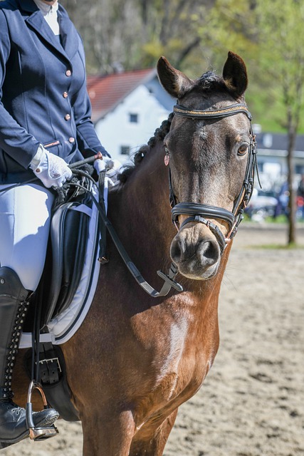 合展现了能 合展现了能