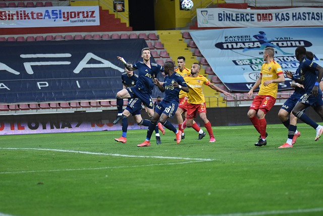 展示了除了 展示了除了