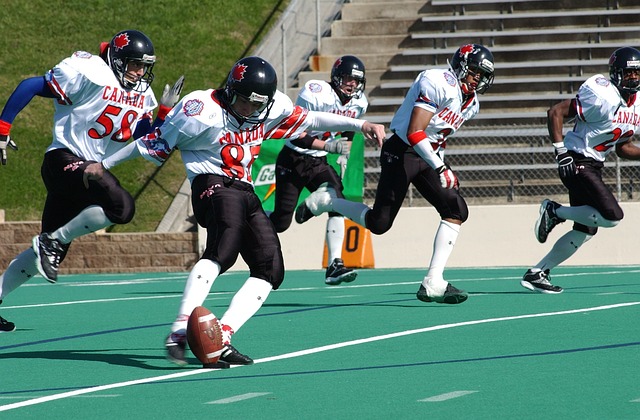 滑的排名 滑的排名