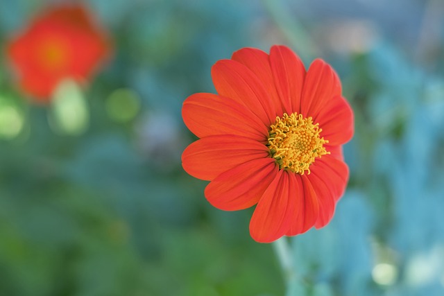 都是保持長 都是保持長