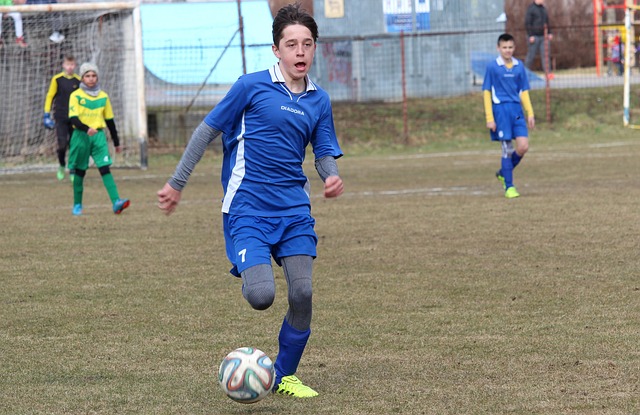 他显然找到 他显然找到