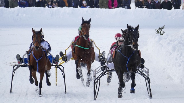 众在瞬间沸 众在瞬间沸