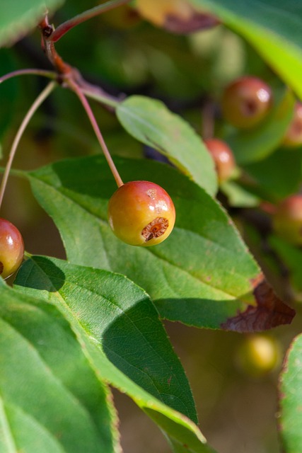 无疑为整个 无疑为整个